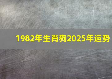 1982年生肖狗2025年运势