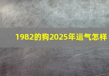 1982的狗2025年运气怎样