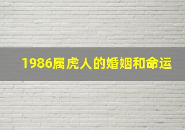 1986属虎人的婚姻和命运