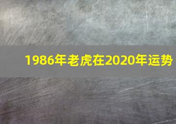 1986年老虎在2020年运势