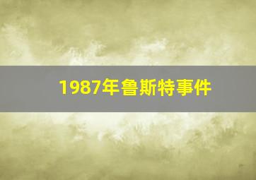 1987年鲁斯特事件