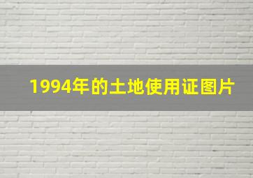 1994年的土地使用证图片