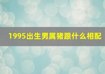 1995出生男属猪跟什么相配