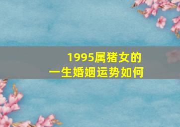 1995属猪女的一生婚姻运势如何