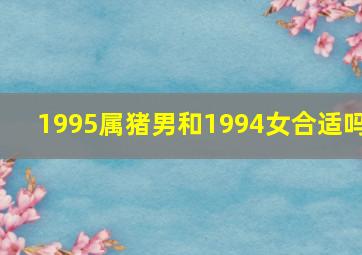 1995属猪男和1994女合适吗