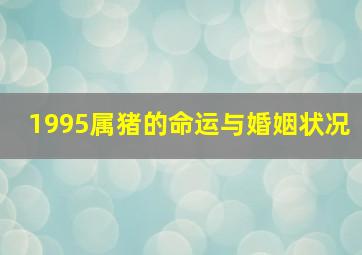 1995属猪的命运与婚姻状况