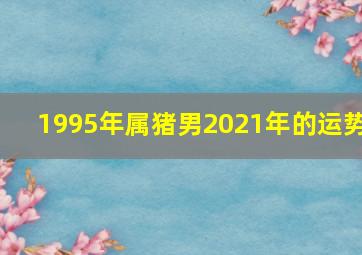 1995年属猪男2021年的运势