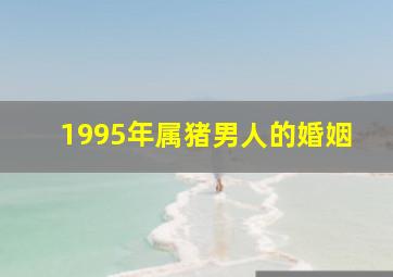 1995年属猪男人的婚姻