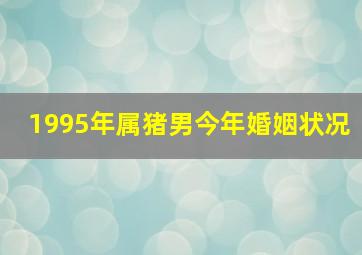 1995年属猪男今年婚姻状况