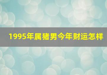 1995年属猪男今年财运怎样