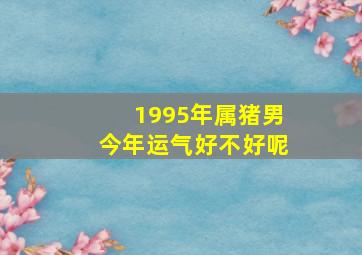 1995年属猪男今年运气好不好呢