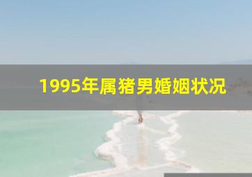 1995年属猪男婚姻状况