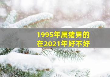 1995年属猪男的在2021年好不好