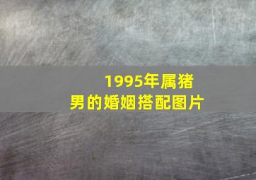 1995年属猪男的婚姻搭配图片