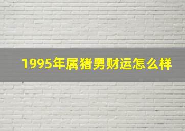 1995年属猪男财运怎么样