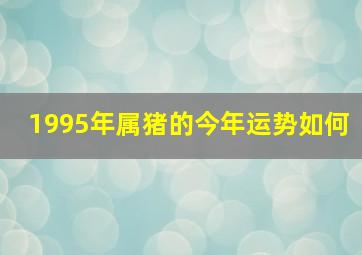 1995年属猪的今年运势如何