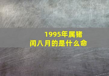 1995年属猪闰八月的是什么命