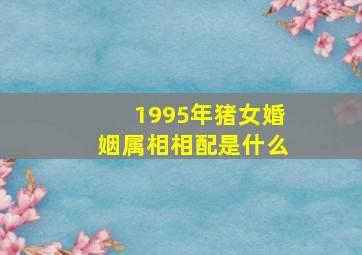 1995年猪女婚姻属相相配是什么