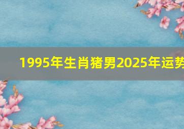 1995年生肖猪男2025年运势