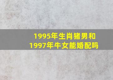 1995年生肖猪男和1997年牛女能婚配吗