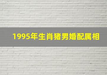 1995年生肖猪男婚配属相