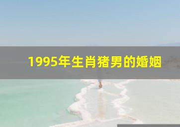 1995年生肖猪男的婚姻