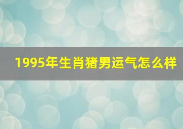 1995年生肖猪男运气怎么样