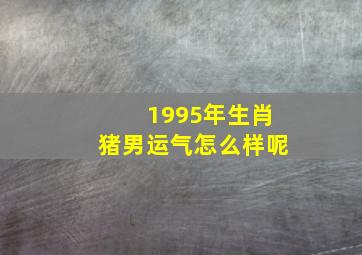 1995年生肖猪男运气怎么样呢