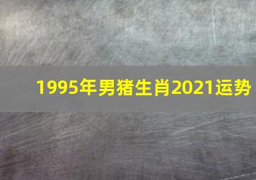 1995年男猪生肖2021运势