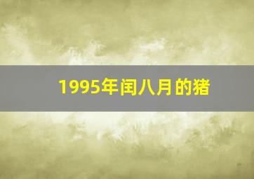 1995年闰八月的猪