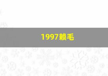 1997赖毛