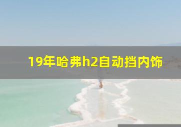 19年哈弗h2自动挡内饰