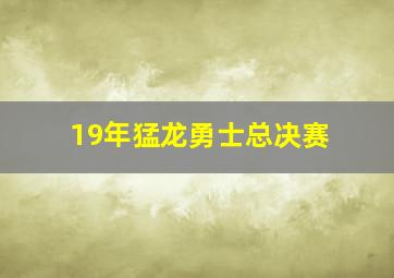 19年猛龙勇士总决赛