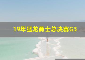 19年猛龙勇士总决赛G3