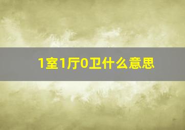 1室1厅0卫什么意思