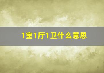 1室1厅1卫什么意思