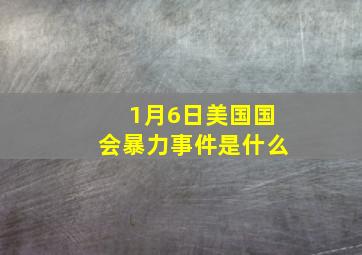 1月6日美国国会暴力事件是什么