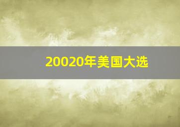 20020年美国大选