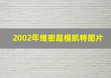 2002年维密超模凯特图片