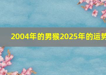 2004年的男猴2025年的运势