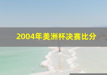 2004年美洲杯决赛比分