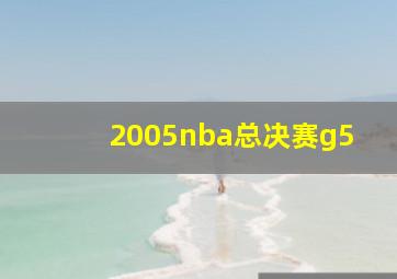 2005nba总决赛g5