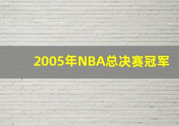 2005年NBA总决赛冠军