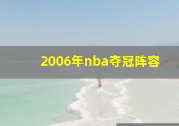 2006年nba夺冠阵容