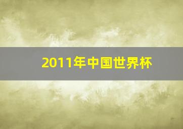 2011年中国世界杯