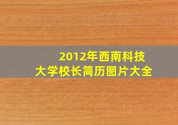 2012年西南科技大学校长简历图片大全