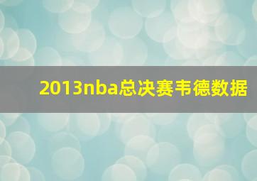 2013nba总决赛韦德数据