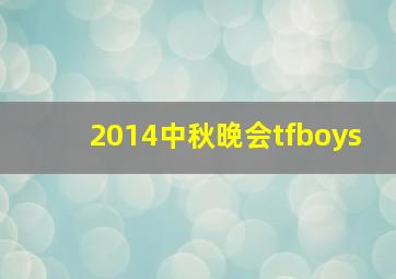 2014中秋晚会tfboys