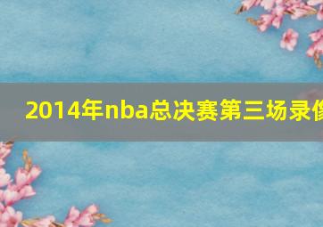 2014年nba总决赛第三场录像