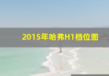 2015年哈弗H1档位图